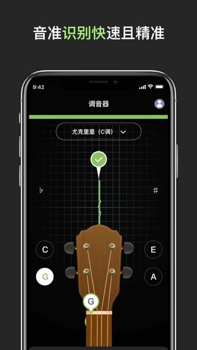 GuitarTuner pro调音器ios