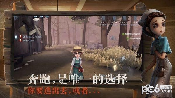 第五人格共研服