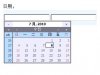 九头鸭日期控件 .net专用版