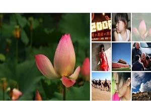 9格FLASH图片广告代码