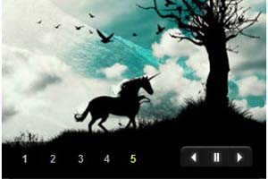 FLASH图片轮换播放器 2