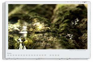 Flash+Xml私人相册