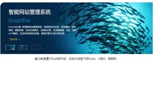 Flash+xml焦点图代码演示