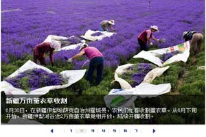 JS+flash可上下翻页焦点图