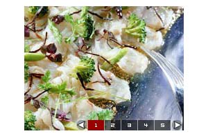 ChinaRen首页flash轮换代码