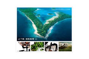 5屏FLASH图片切换代码