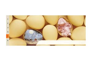 flash滑动焦点图广告代码