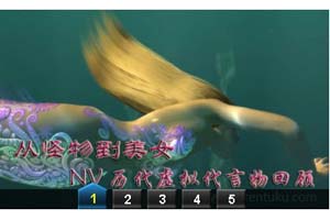 5屏大按钮Flash焦点图轮换