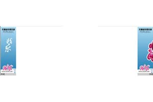 TOM网首页flash对联广告