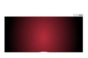 可关闭重播的Flash富媒体广告