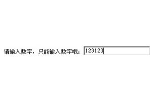 只能输入数字的输入框