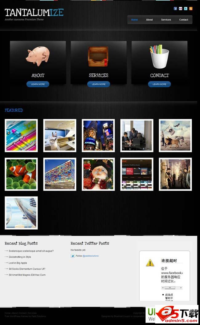 Wordpress3.0 Tantalumize主题