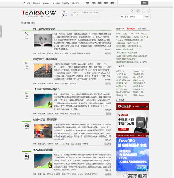 wordpress SEO主题TearSnow FanS