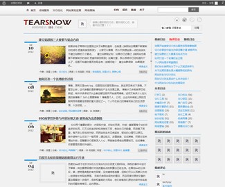 WordPress SEO主题TearSnow Fan V1.8