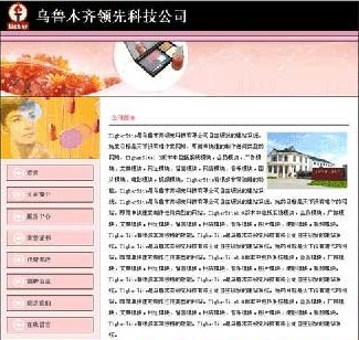 爱革CMS 公司网站模板 W010003,S04