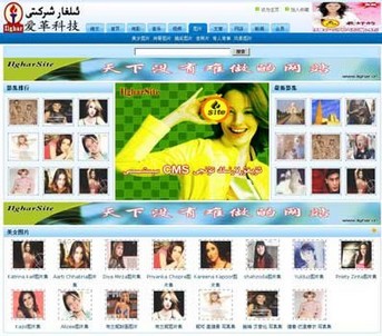爱革CMS 图片网站模板 W040001