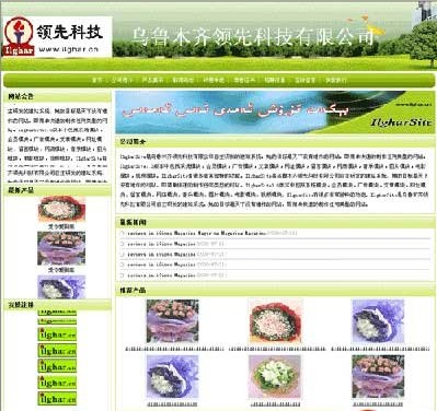 爱革CMS 公司网站模板 W015001,S02