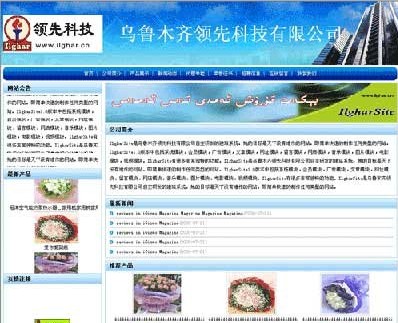 爱革CMS 公司网站模板 W015001,S01