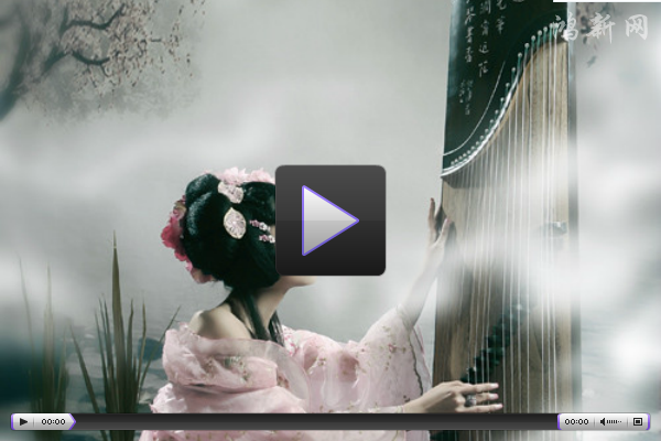 紫色的漂亮Flash视频播放器(带xml、可自定义背景图片)