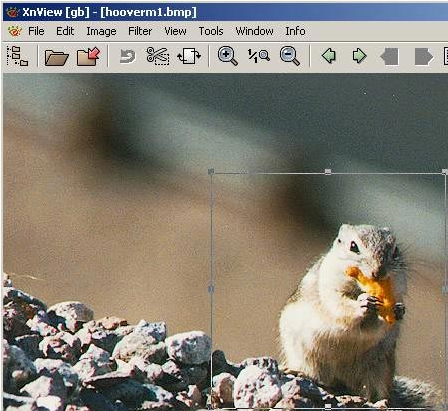 XnView(图像查看器)