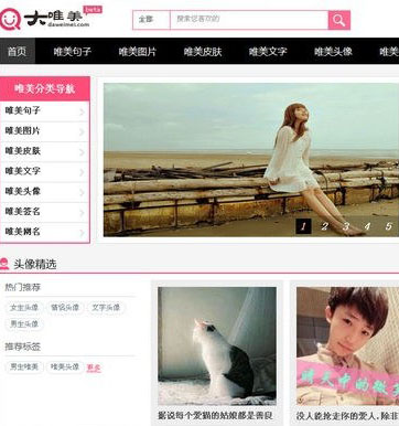 大唯美整站程序打包