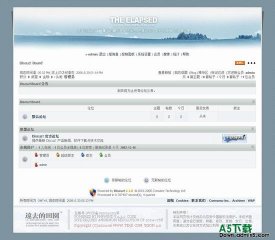 Discuz! 灰色个性