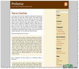 Wordpress ProSense(年度最佳12)