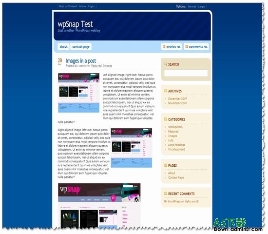 Wordpress Insense主题下载