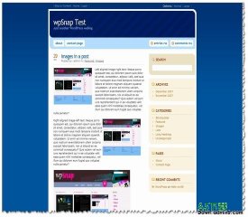 Wordpress Insense(年度最佳15)