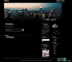 Wordpress Dust模板