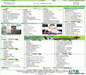 PHPCMS 自然绿模板