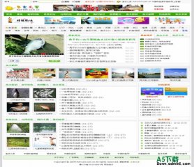 帝国CMS 鱼友之家模板