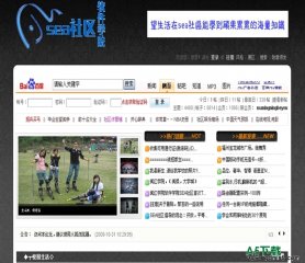 动网论坛 经典灰色风格