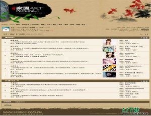 动网论坛 古色古香风格