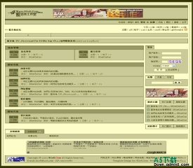 动网论坛 蓝吉他风格