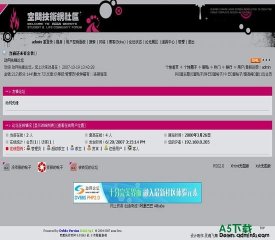 动网论坛 仿星秀风格