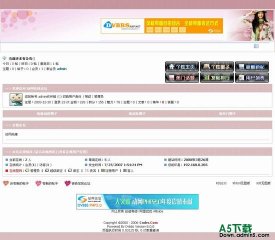 动网论坛 红风格