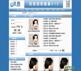 动网新闻.net 免费风格V12