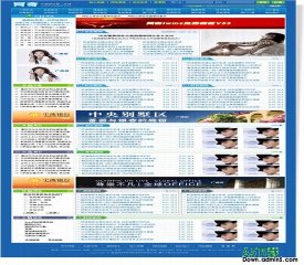 网奇Iwms免费模板V53