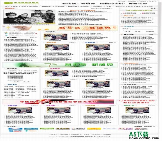 网奇Iwms免费模板V60