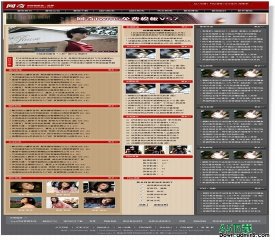 网奇iwms免费模板V63