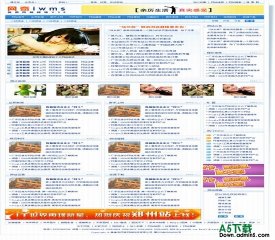 网奇Iwms免费模板V58