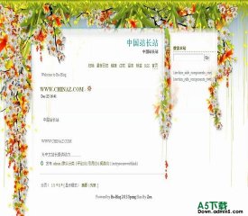 Bo-Blog Spring模板