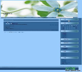 Bo-Blog 蓝色小花