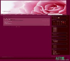 Bo-Blog 粉红花朵