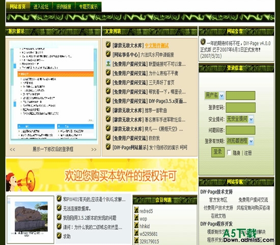 DiY-Page 网游深绿模板