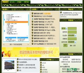 DiY-Page 网游深绿模板