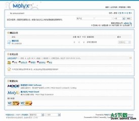 Molyx论坛 UI.bug风格