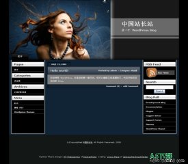 Wordpress Fashion模板