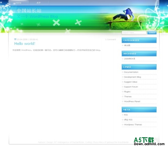 Wordpress Natural模板